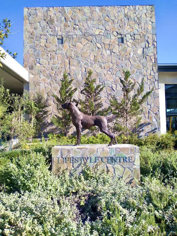 To Let 1 Bedroom Property for Rent in The Huntsman Western Cape